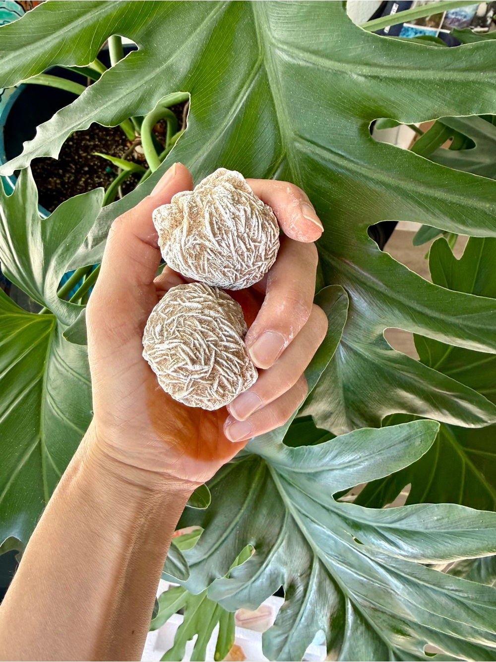 Desert rose ball pair